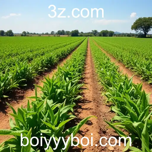 Revolução Tecnológica nos Jogos Online